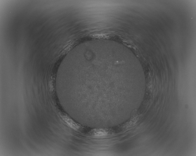 X0000054370658200508121541