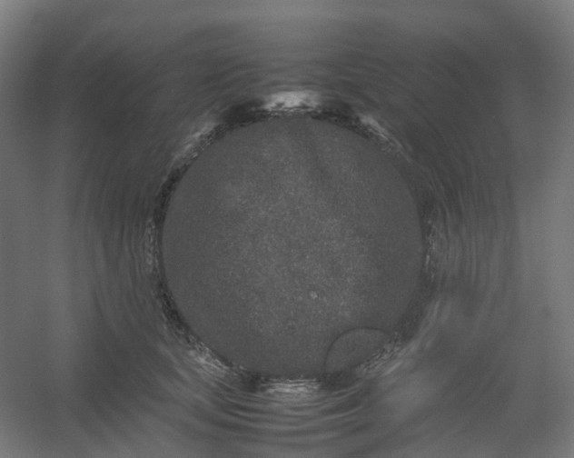 X0000054370659200508121541