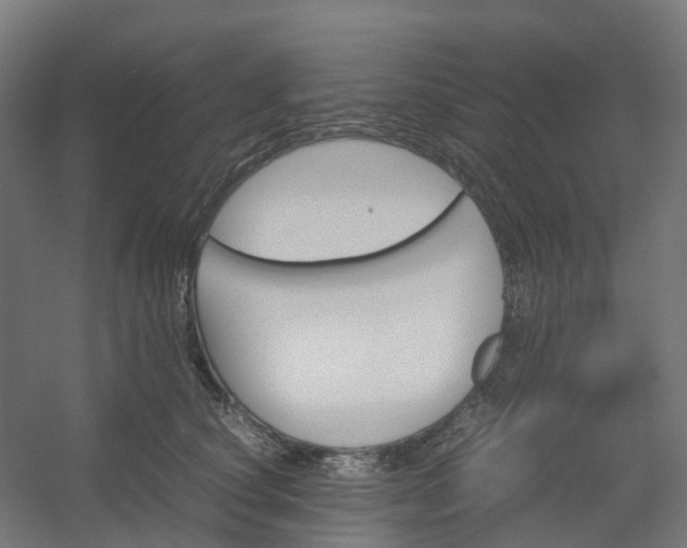 X0000054370660200508121541