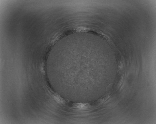 X0000054370663200508121541