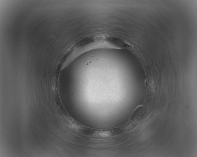 X0000054370665200508121542