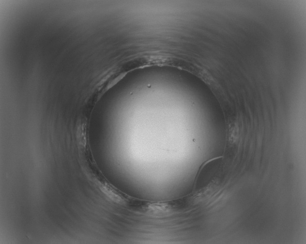 X0000054370666200508121542