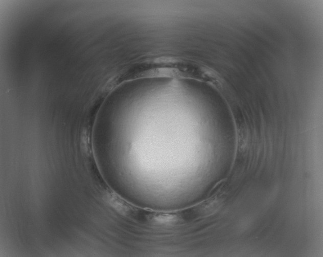 X0000054370669200508121542