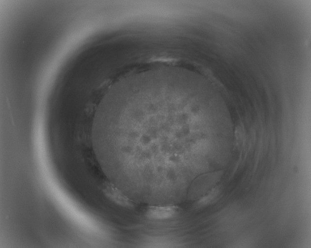 X0000054370671200508121542