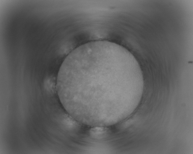 X0000054370672200508121542