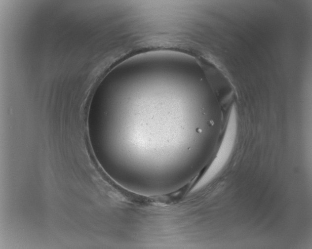 X0000054370673200508121541