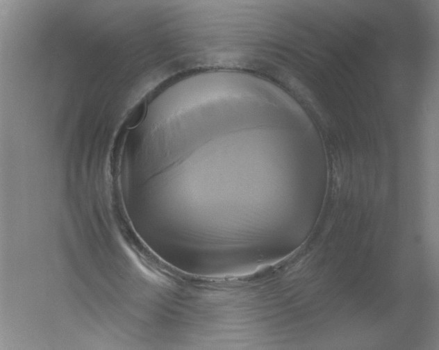 X0000054370674200508121541