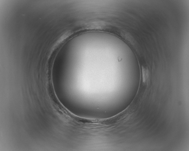 X0000054370675200508121541