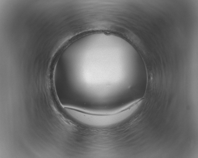 X0000054370676200508121541