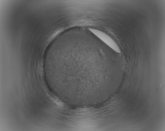 X0000054370679200508121541