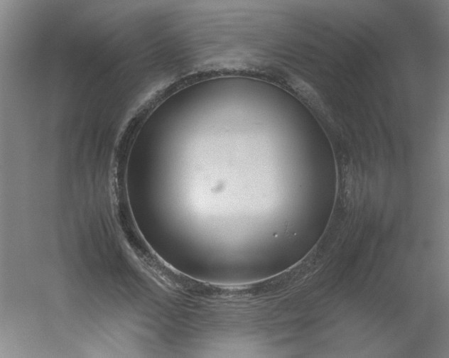 X0000054370680200508121541