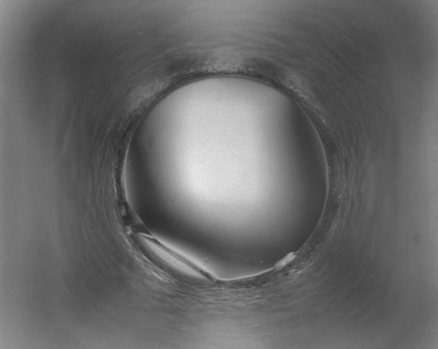 X0000054370681200508121541