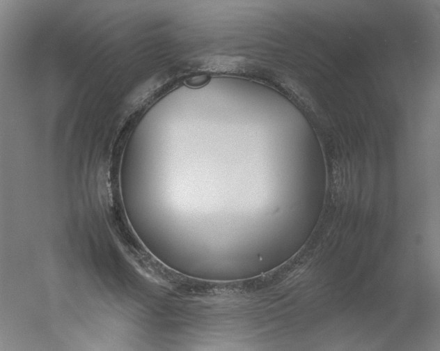 X0000054370682200508121541