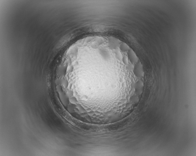 X0000054370683200508121541