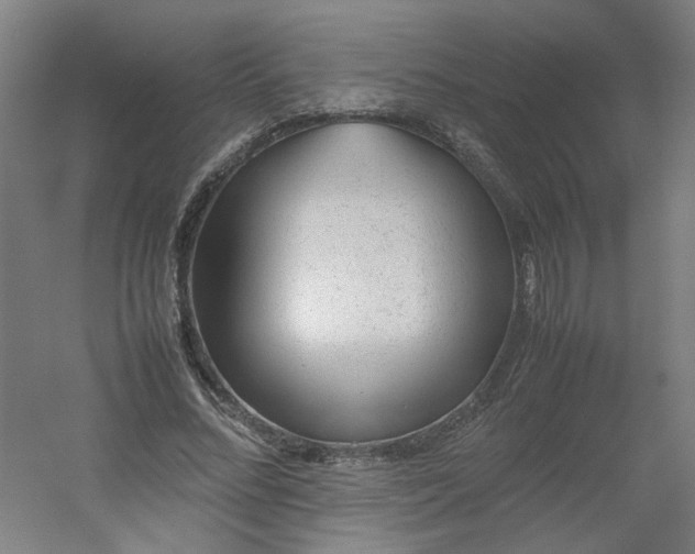 X0000054370684200508121541