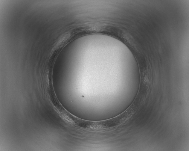 X0000054370685200508121541