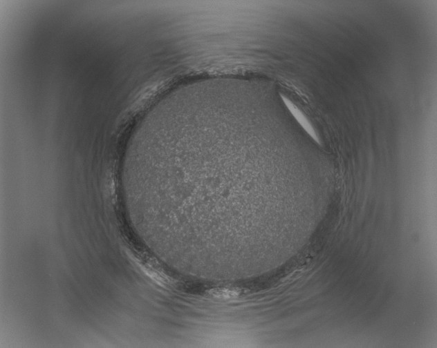 X0000054370687200508121541