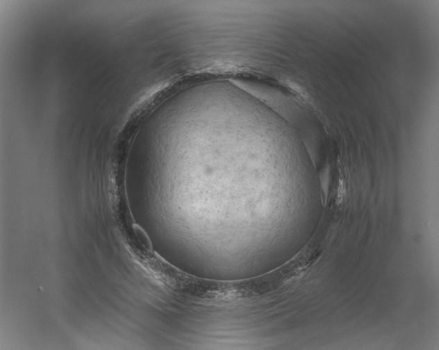 X0000054370688200508121541