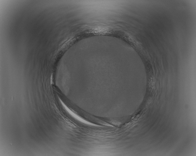 X0000054370689200508121541