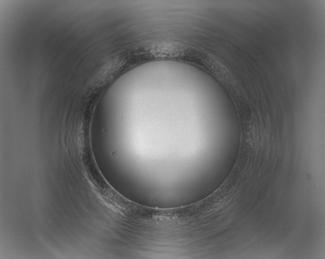 X0000054370690200508121541