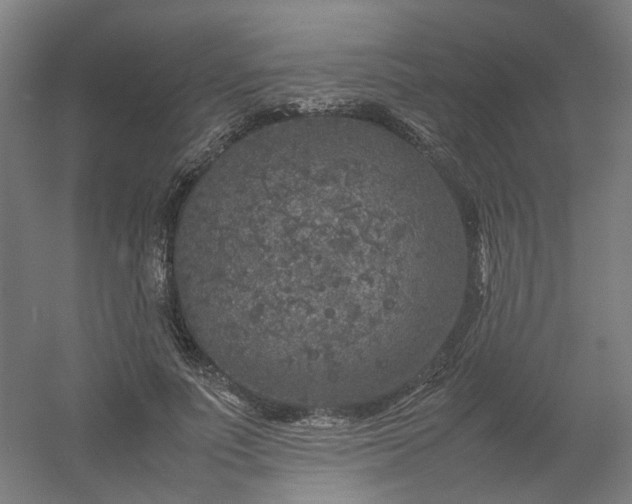 X0000054370691200508121541