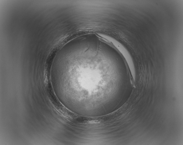 X0000054370692200508121541