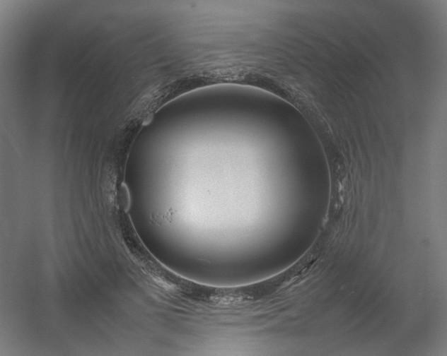 X0000054370693200508121540