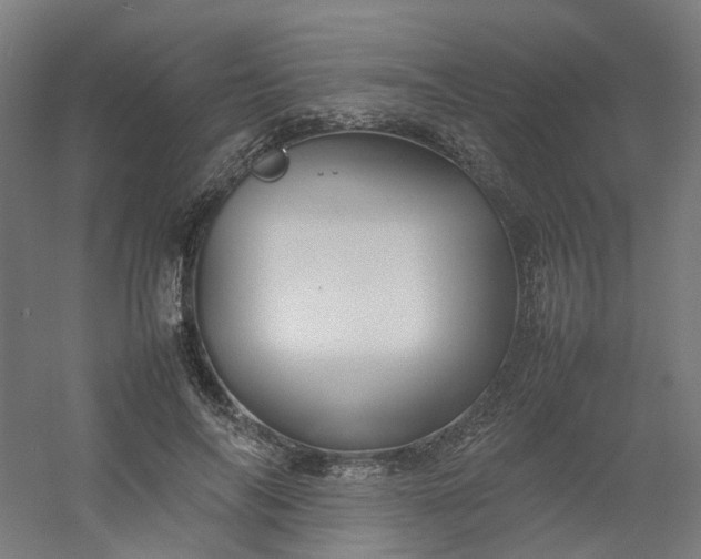 X0000054370694200508121540