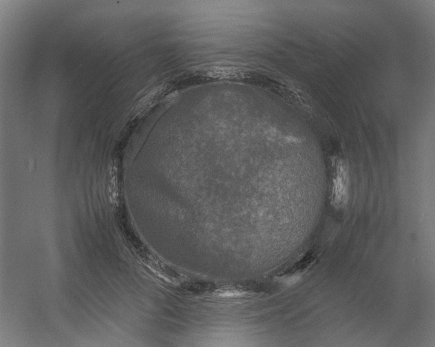 X0000054370696200508121540