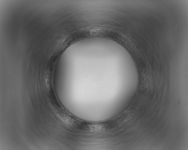 X0000054370698200508121540