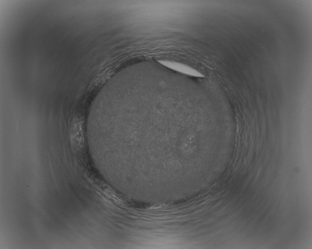 X0000054370699200508121540