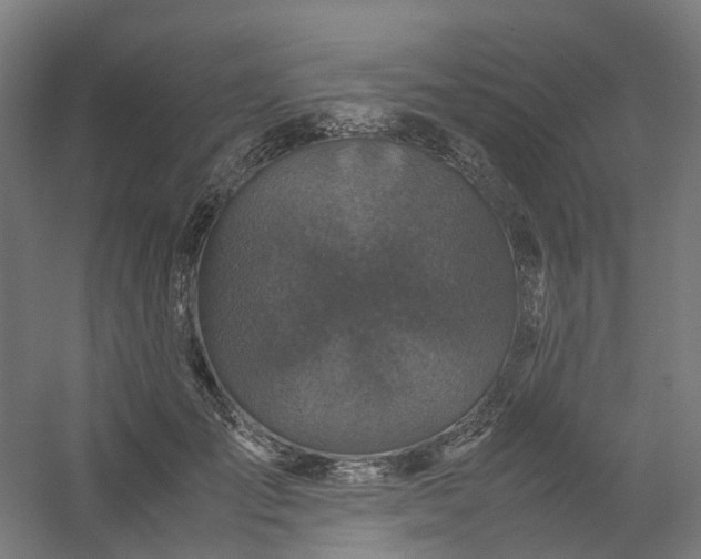 X0000054370701200508121540