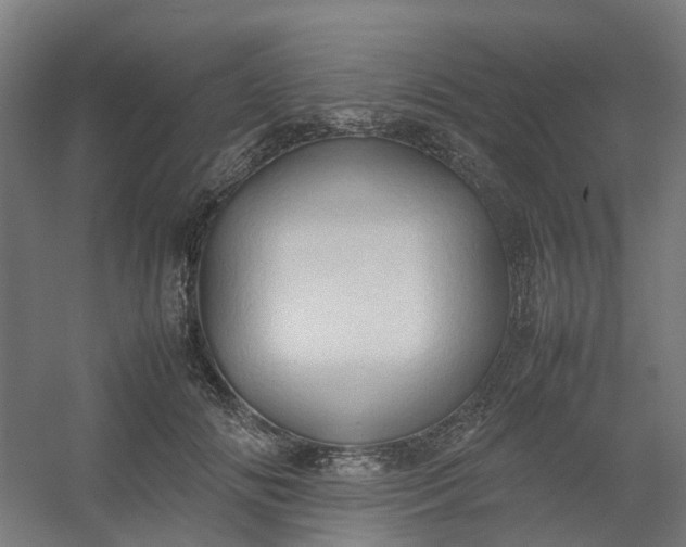 X0000054370702200508121540