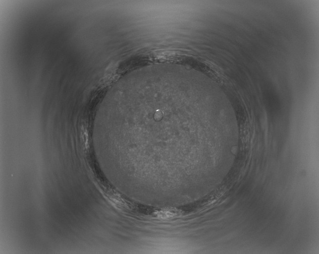 X0000054370703200508121540