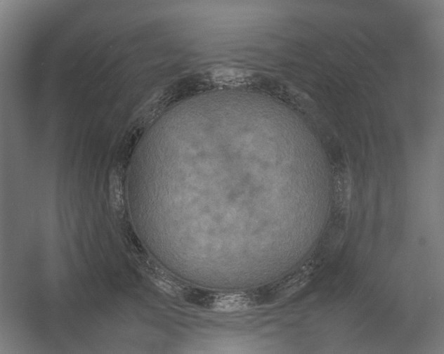 X0000054370705200508121540