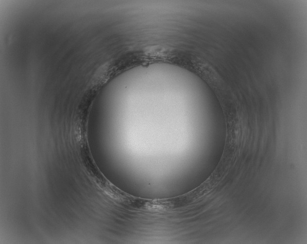 X0000054370706200508121540