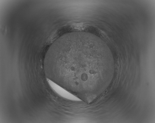 X0000054370707200508121540