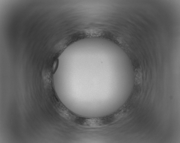 X0000054370713200508121540