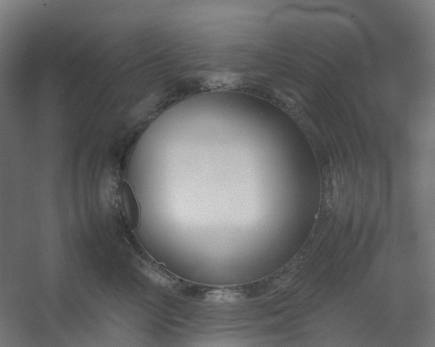 X0000054370714200508121540