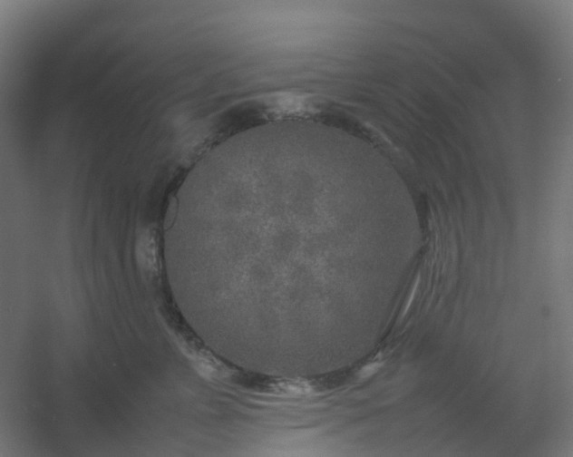 X0000054370715200508121540