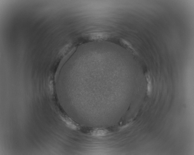 X0000054370716200508121540