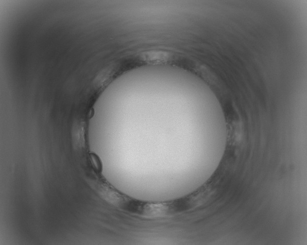 X0000054370717200508121540