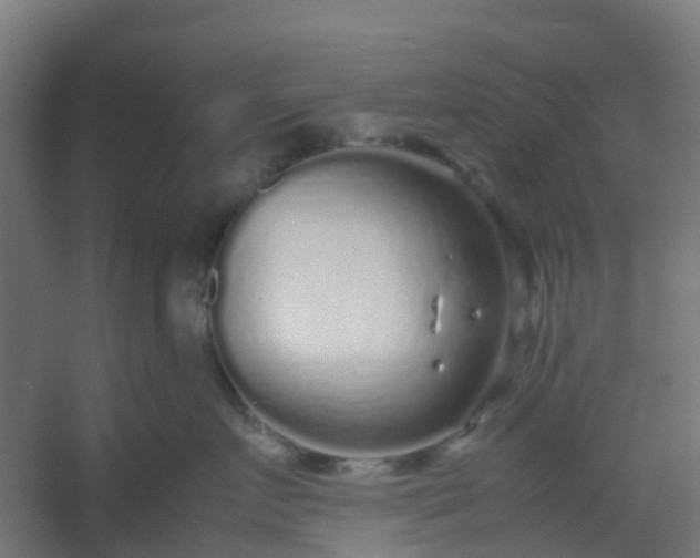 X0000054370719200508121540