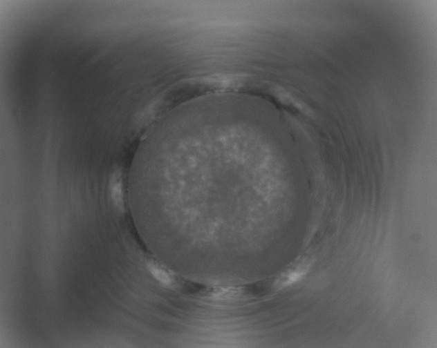 X0000054370720200508121540