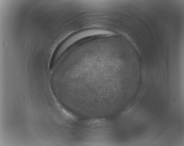 X0000054370721200508121539