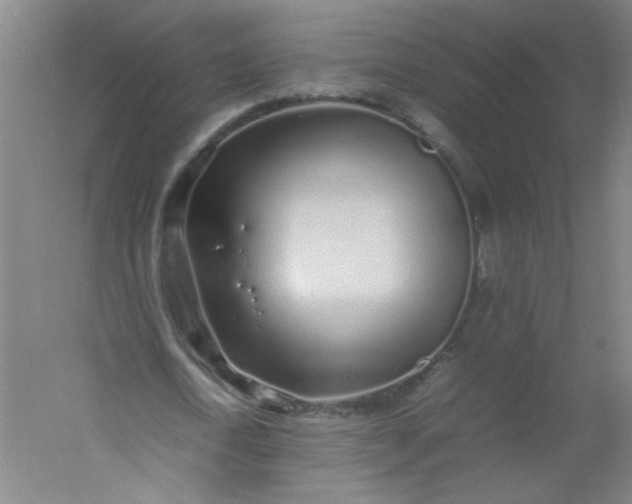 X0000054370722200508121539