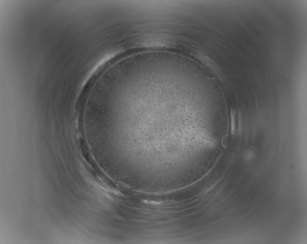 X0000054370723200508121539