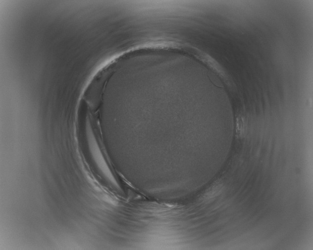 X0000054370724200508121539