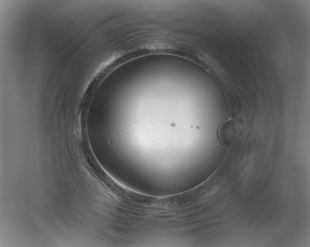 X0000054370727200508121539