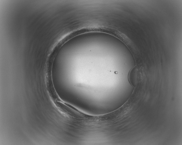 X0000054370728200508121539